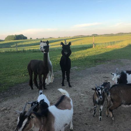 Agroturystyka Malary Pogodki Bagian luar foto